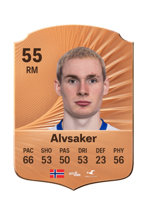 Alvsaker - 55 - Rare