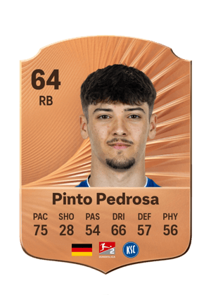 Pinto Pedrosa - 64 - Rare
