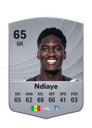 Ndiaye - 65 - Common
