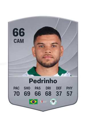 Pedrinho - 66 - Common