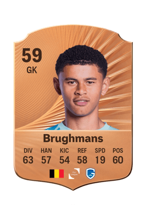 Brughmans - 59 - Rare