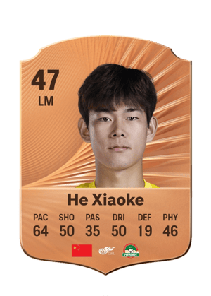 He Xiaoke - 47 - Rare