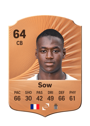 Sow - 64 - Rare