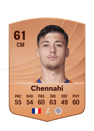 Chennahi - 61 - Common