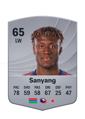 Sanyang - 65 - Common