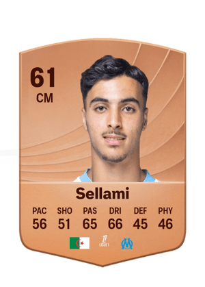 Sellami - 61 - Common