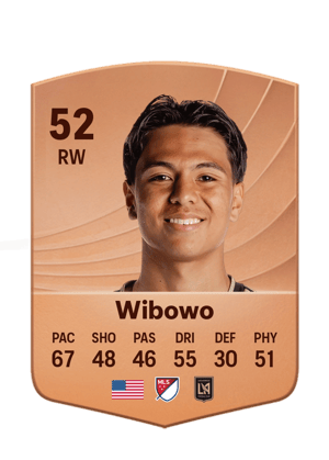 Wibowo - 52 - Common