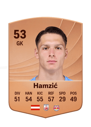 Hamzić - 53 - Common
