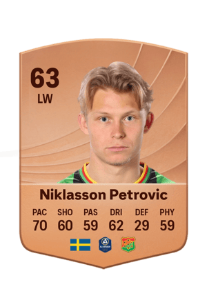 Niklasson Petrovic - 63 - Common