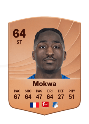 Mokwa - 64 - Common