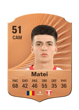Matei - 51 - Rare