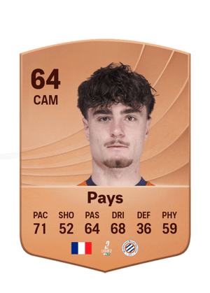 Pays - 64 - Common