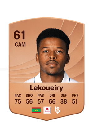 Lekoueiry - 61 - Common