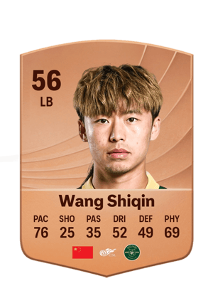 Wang Shiqin - 56 - Common
