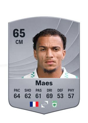Maes - 65 - Common