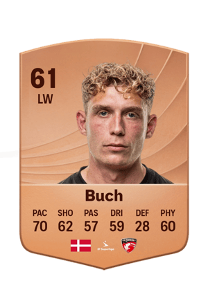 Buch - 61 - Common