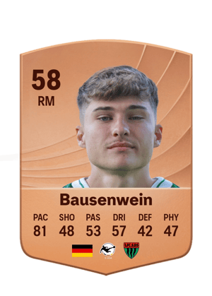 Bausenwein - 58 - Common