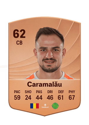 Caramalău - 62 - Common