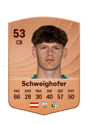 Schweighofer - 53 - Common