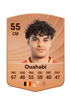 Ouahabi - 55 - Common