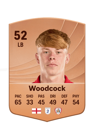 Woodcock - 52 - Common