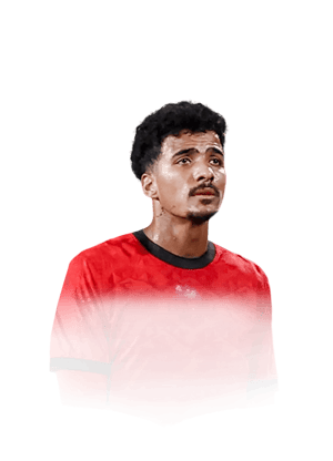 Abdelmaguid