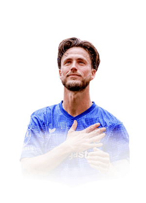 van Wolfswinkel