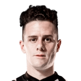 Merlini