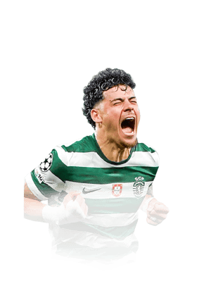 Araújo