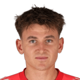 Polster