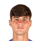 Guarino