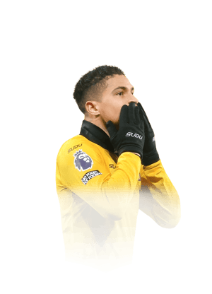 João Gomes