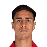 Vitor Reis