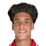 Witsel