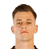 Vitek