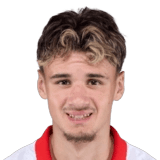 Alajbegović