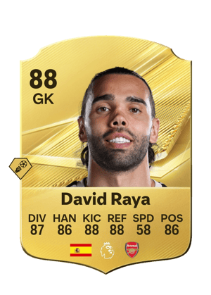David Raya - 88 - Rare