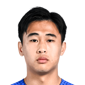 Dai Weijun