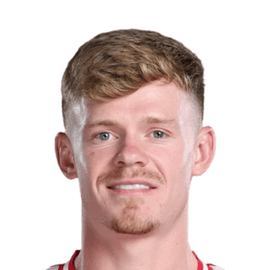 Lewis-Potter