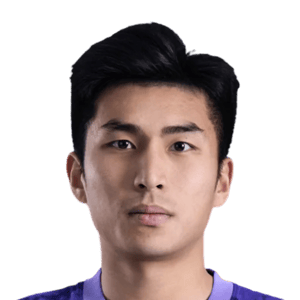 Wang Zhenghao