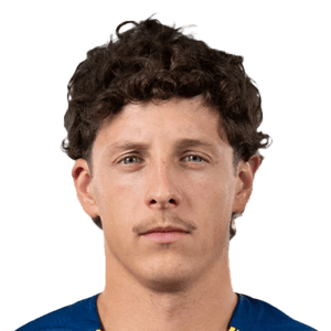 Bradarić