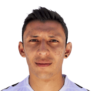 Navarro