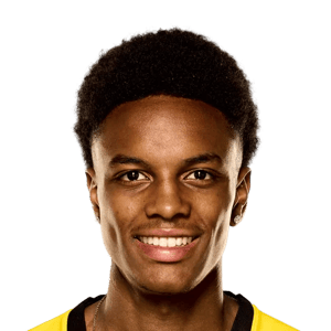 Alvyn Sanches