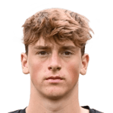 De Vlaeminck