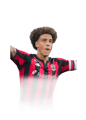 Witsel