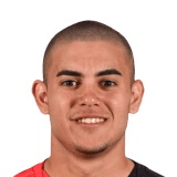 Tirado