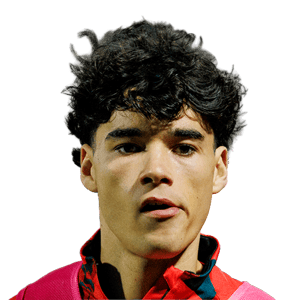 Afonso Assis