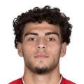 Guilherme Peixoto