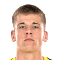 Rizvanovich