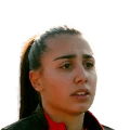 Donolato